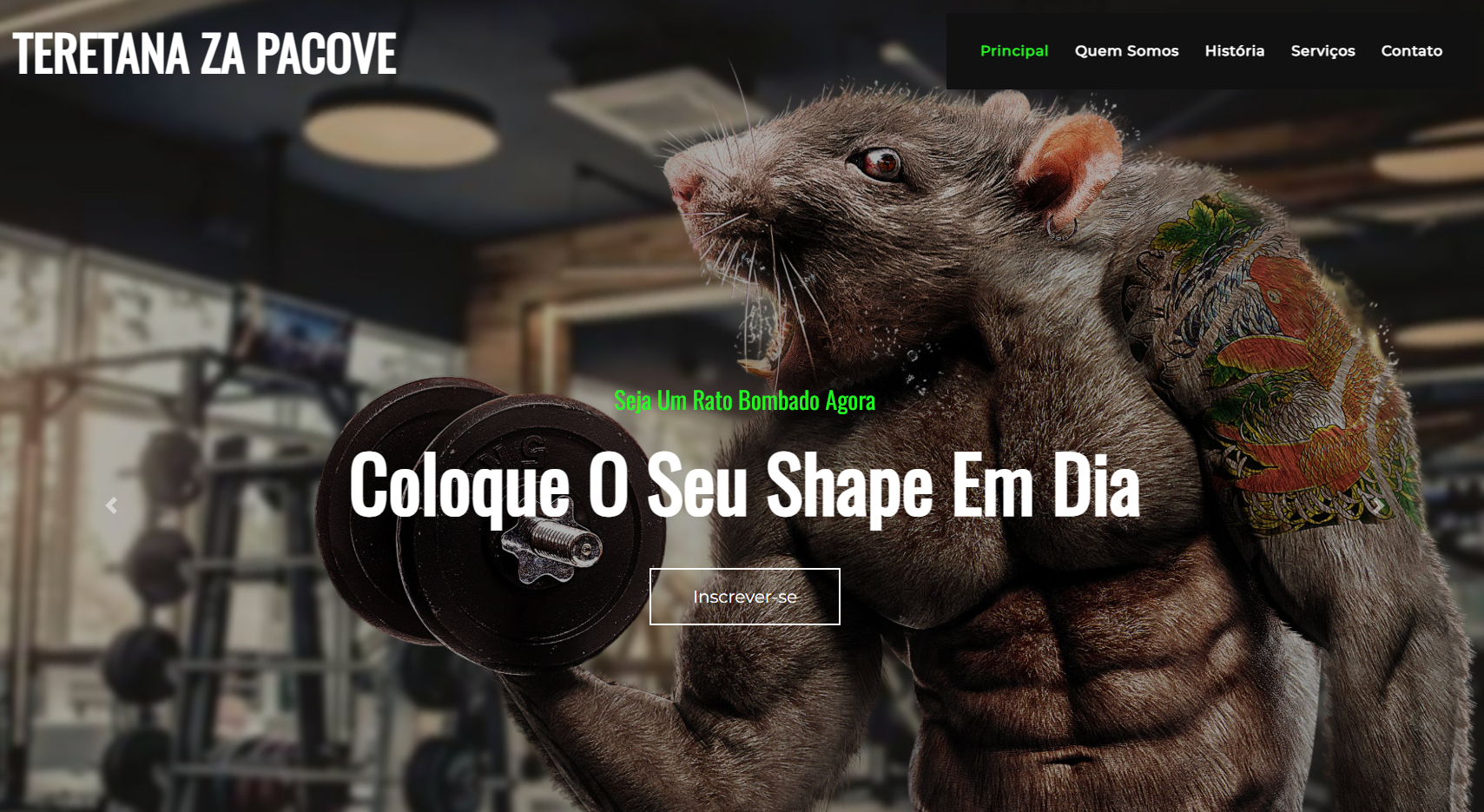 Imagem do Projeto 1